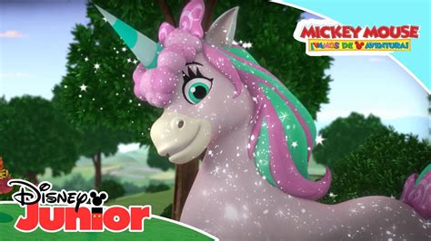 videos de unicornios|videos de unicornios disney.